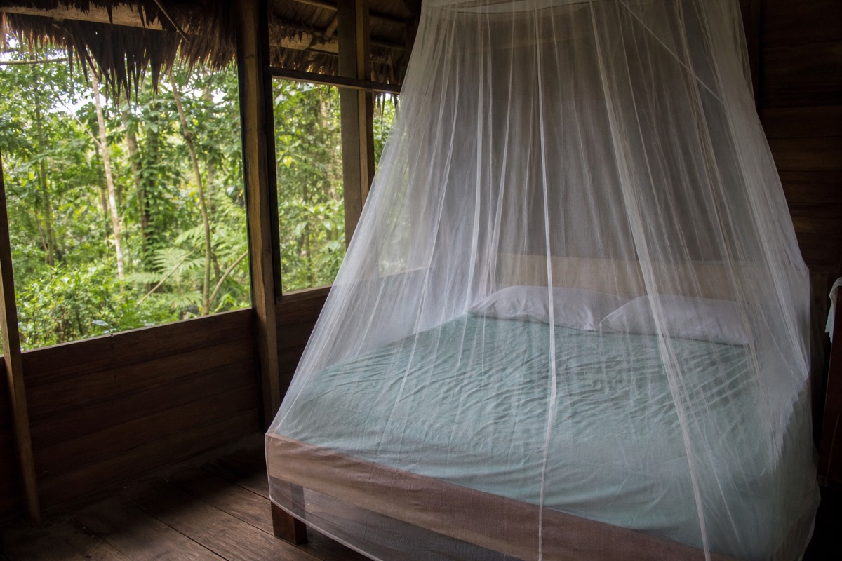 Interior of an Amazon jungle lodge bungalow near Iquitos with a mosquito-netted bed and open screened wall onto the forest