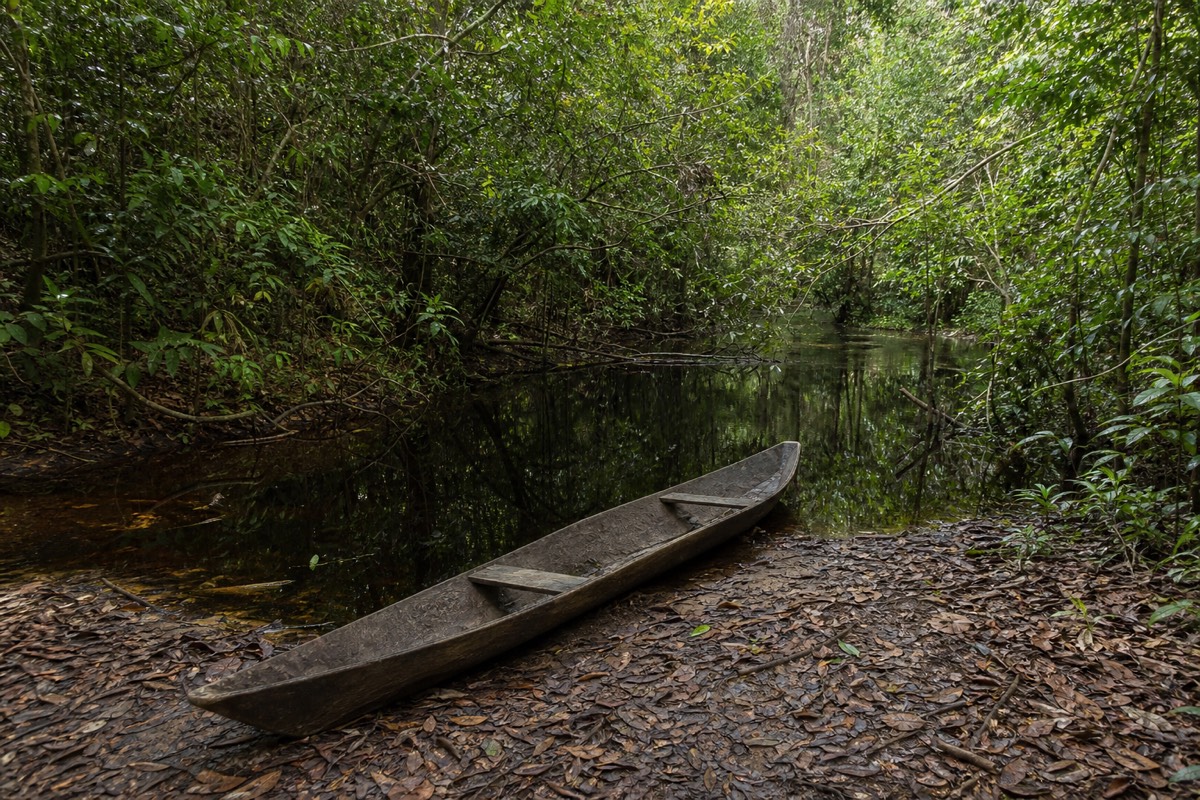 A blackwater channel deep in the Peruvian Amazon