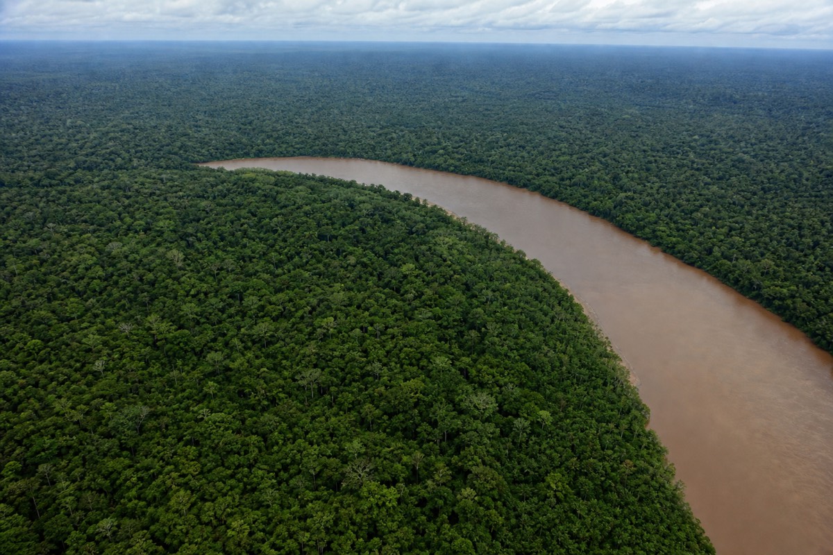 Aerial view of unbroken Amazon rainforest canopy with a river winding through it