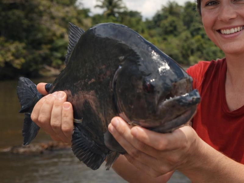 Amazon Jungle Piranha Fishing Tour from Iquitos