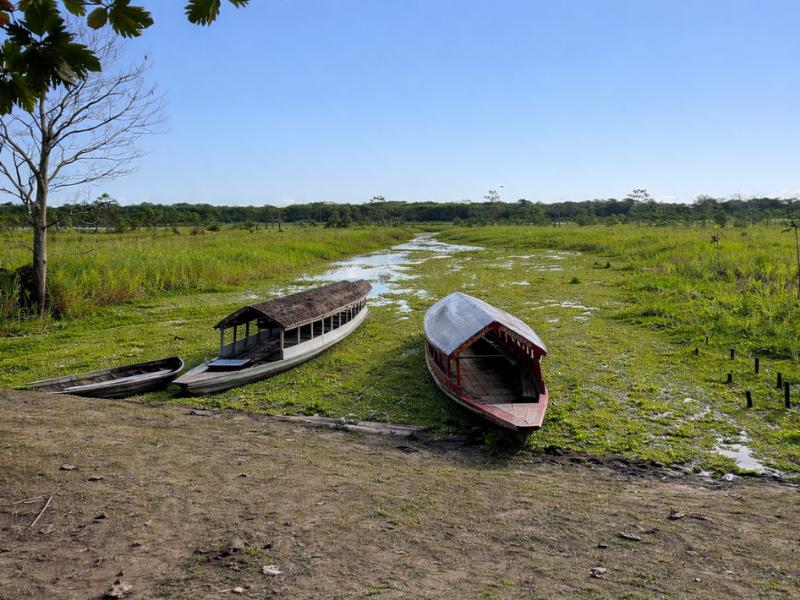 From Iquitos: 2-Day Maniti Eco-Lodge Jungle Tour – All-Inclusive