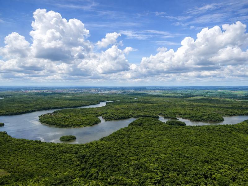 From Iquitos: 6-Day Amazon Jungle Camping Expedition